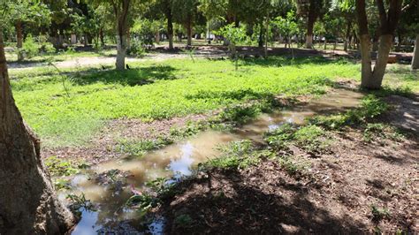 Parque Las Auras en Lerdo está listo para recibir agua de Ciclo