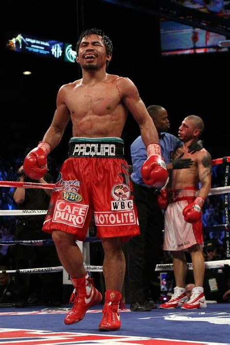 Manny Pacquiao Vs Miguel Cotto Latest News And Updates Boxing Videos