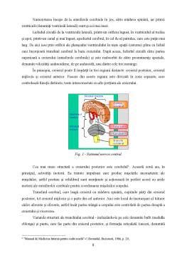 Ngrijirea Pacien Ilor Cu Accident Vascular Cerebral Licen Doc