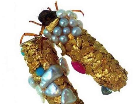 The Ornate Protective Cases Of Caddisfly Larvae TwistedSifter