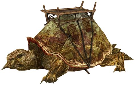 Giant Turtle Guild Wars Wiki GWW