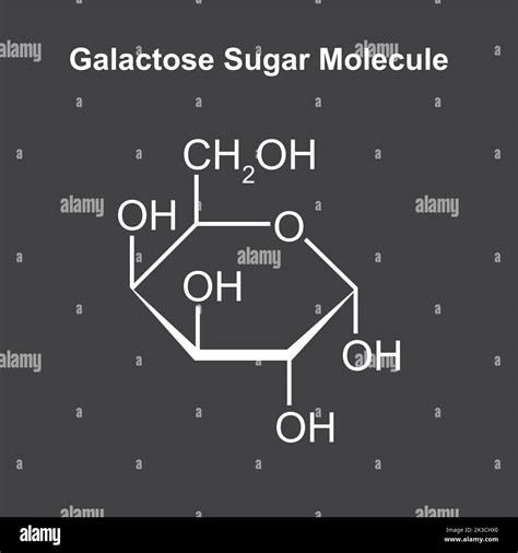 Chemical Illustration Of Galactose Sugar Molecule Vector Illustration Stock Vector Image And Art