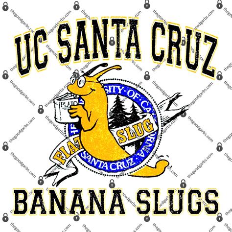 UC Santa Cruz Banana Slugs Shirt