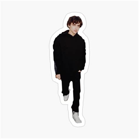 Timoth E Chalamet Design Sticker By Lucidstickers Stickers Timothee