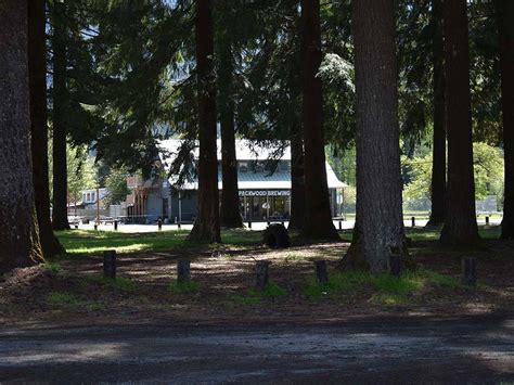 Rainier Wings Packwood Rv Park Packwood Campgrounds Good Sam Club