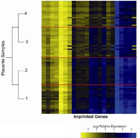 Figure 1 From Placenta Imprinted Gene Expression Association Of Infant