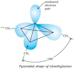 Amines And Nitrogen Containing Compounds - Study Material for IIT JEE ...