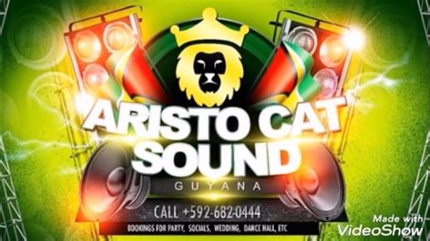 Aristo Cat Guyana Mix Mocha Guiness Bar Simba Short Boss Youtube