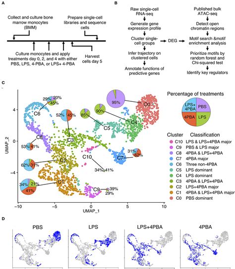 Frontiers Single Cell Rna Seq And Machine Learning Reveal Novel