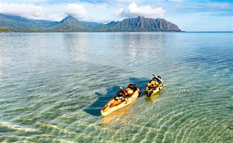 Oahu Self Guided Kayaking Kaneohe Bay Sandbar 4 Hrs