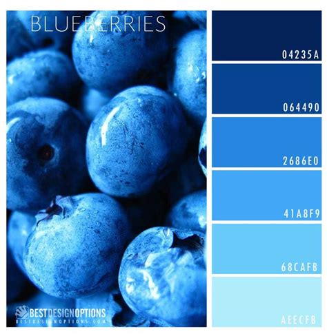 Blueberry Color Palette Color Palette Bright Blue Color Pallet Blue