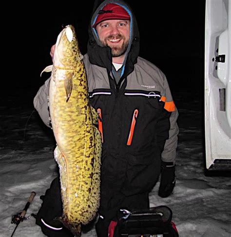 How to Fish Eelpout - Virtual Angling