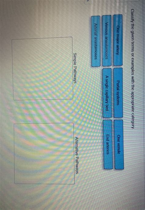 Solved Classify The Given Terms Or Examples With The Chegg