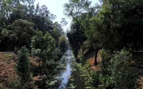 Parque Canal Nacional Es Declarado Como Bosque Urbano En CdMx