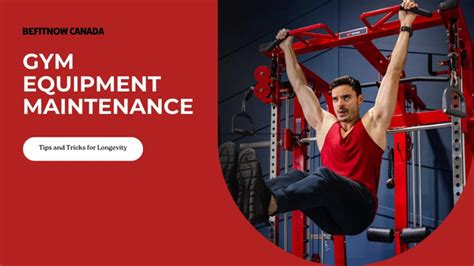 Gym Equipment Maintenance Tips And Tricks For Longevity