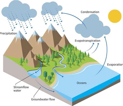 Water Cycle Project Ideas - Science Struck