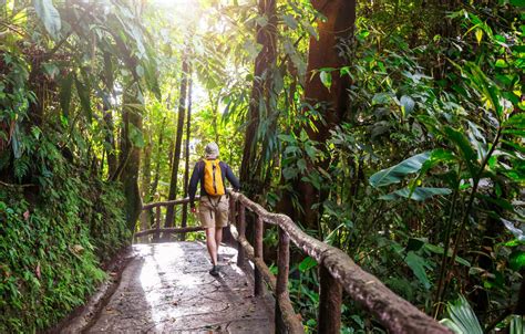 Full Day Tour To UNESCO Khao Yai National Park Thailand Top Sights Tours