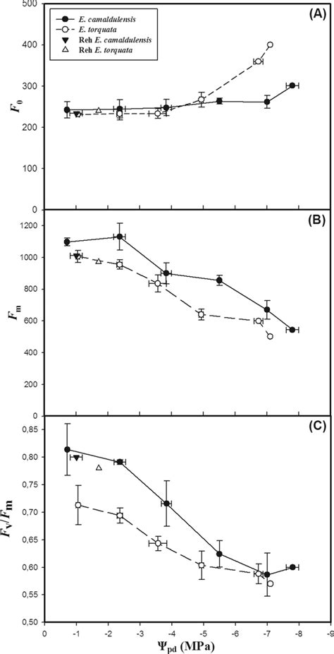 Variation Of A Minimum Chlorophyll Fluorescence F B Maximum