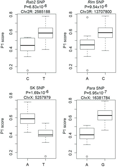 Figure S4 Snp Effects For Genes Functionally Tested Box Plots Of The