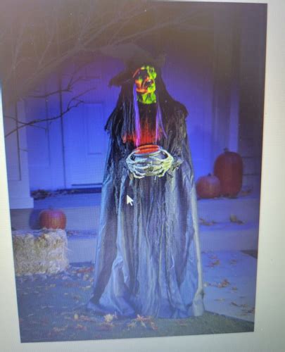 ALCOVE BRAND NEW IN BOX 5 LIFE SIZE WITCH HALLOWEEN DECOR U