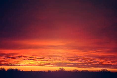 Red sunset clouds over trees. — O'Brien Communications Group