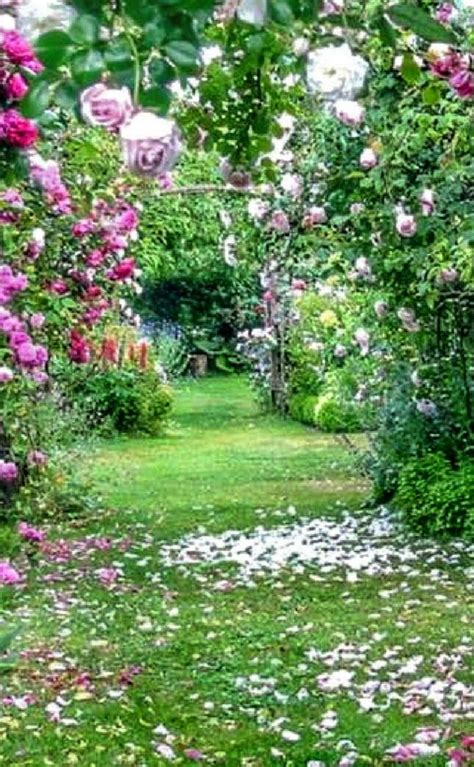 Épinglé par Ben Jerphanion sur Tuin Fleur jardin Jardins Fleurs