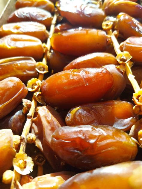 Algerian Dattes Royal Dattes Deglet Nour Algerian Dates Deglet Biskra