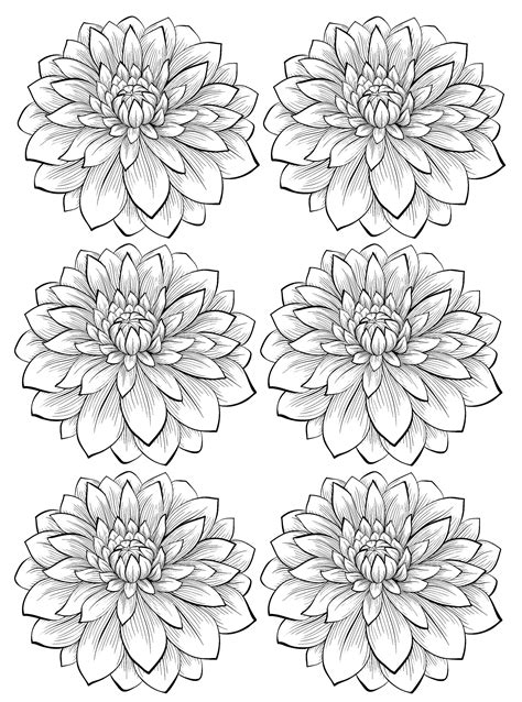 Free Flower Color Pages Printable