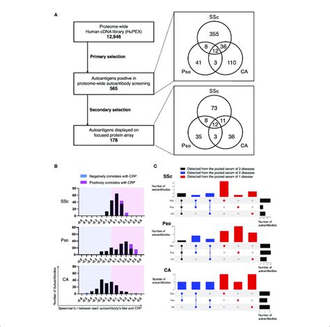 Intra And Inter Diversity Of Correlation Between Serum Levels Of