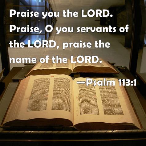 Psalm 1131 Praise You The Lord Praise O You Servants Of The Lord