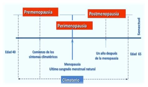 Tipos De Sangrados En La Menopausia ¿es Normal Sangrar Después