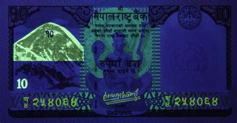 10 Rupees 2020 Nepal