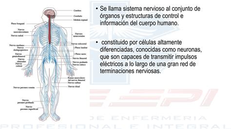 Atencion Prehospitalaria De Emergendias Neurologicas PPT