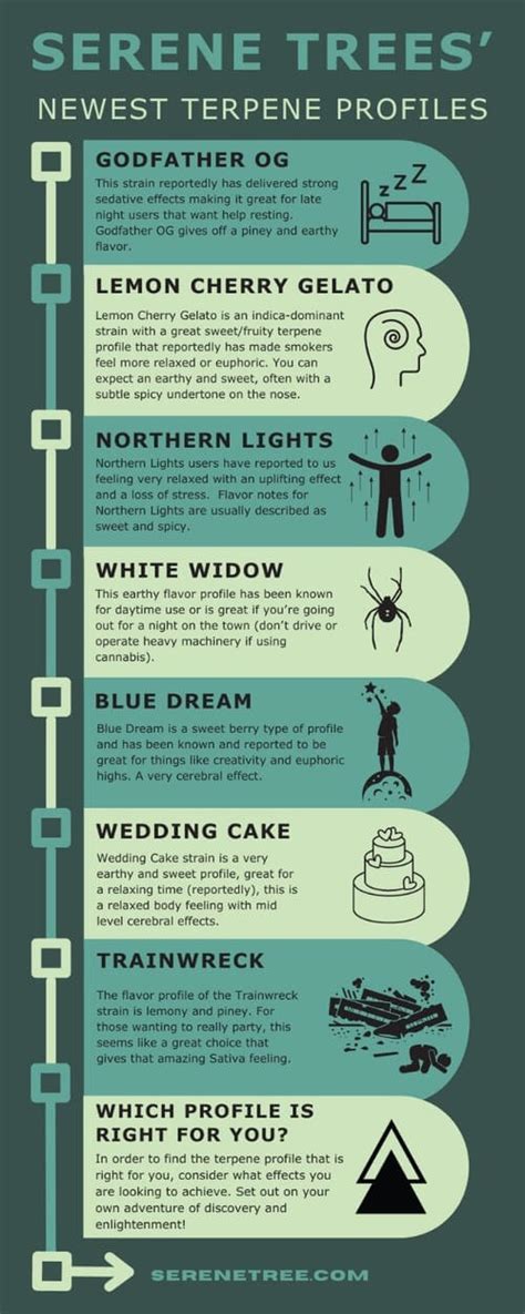 Serene Trees’ Guide To Terpene Profiles And Cannabis Strains Serenetree