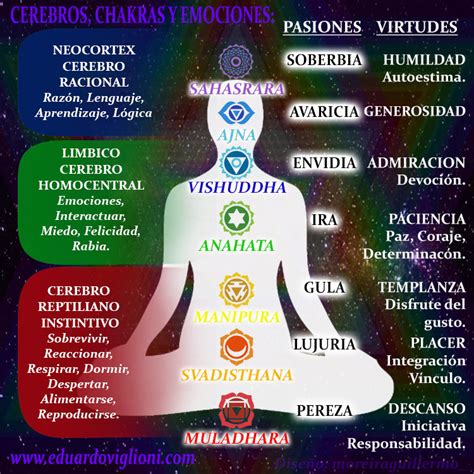 CHAKRAS Y SU RELACION CON LOS PENSAMIENTOS Y EMOCIONES Los Chacras