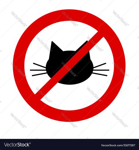 No Cats Allowed