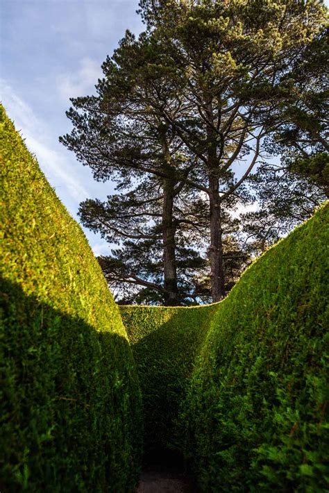 The World's 9 Most Impressive Hedge Mazes You Can Visit