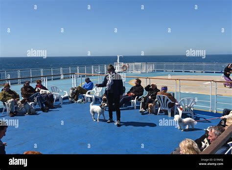 Dog owners with pet dogs using exercise area on board Brittany Ferry ...