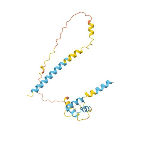 RCSB PDB AF AFQ13519F1 Computed Structure Model Of Prepronociceptin