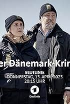 Der Flensburg Krimi Der Tote Am Strand Tv Movie Imdb