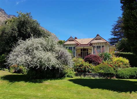 Pyrus Pendula Weeping Silver Pear Easy Big Trees Nz