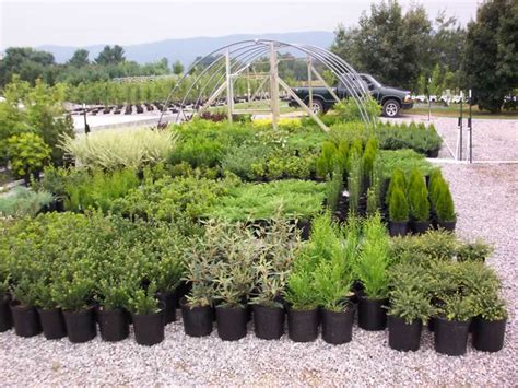 Древесная кора как субстрат для выращивания растений