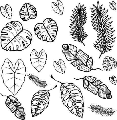 Ornamen Daun Png Vectores Psd E Clipart Para Descarga Gratuita Pngtree