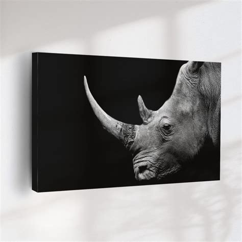 Quadro Decorativo Rinoceronte Fundo Preto ArtBeni Quadros