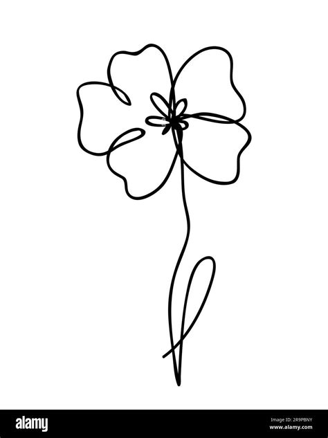 Vector Illustration Of One Line Drawing Abstract Flower Poppy Hand