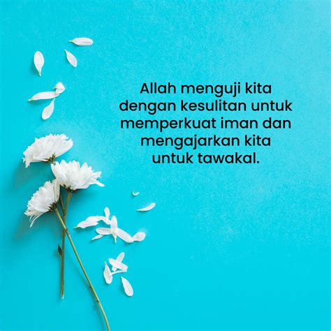 100 Kata Kata Hikmah Motivasi Tentang Kejayaan Dalam Islam - The Mizzone