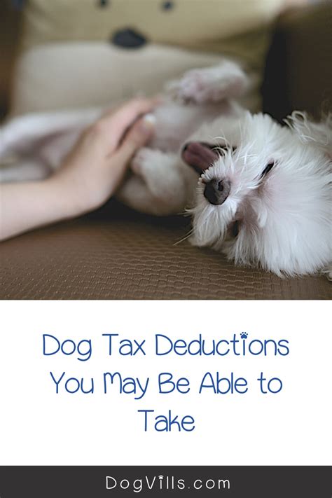 5 Dog Tax Deductions You Might Qualify For Dogvills In 2020 Dogs