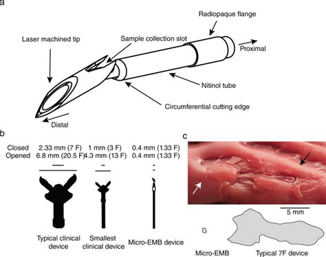 Myocardial Micro Biopsy Procedure For Molecular Characterization With