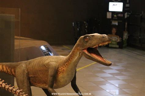 Museu de Ciências Naturais da PUC Minas em Belo Horizonte Pelos