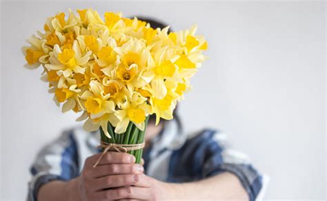 Por Qu Se Regalan Flores Amarillas El De Marzo